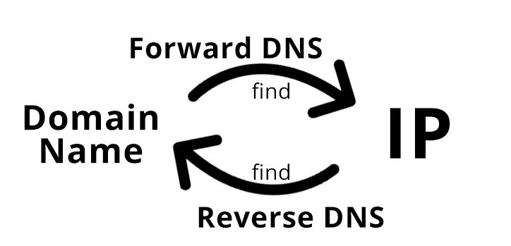 Forward and Reverse DNS