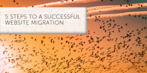 5 steps to a successful website migration