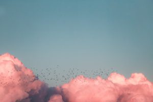 Why Migrate Your Website or eCommerce Store to the Cloud