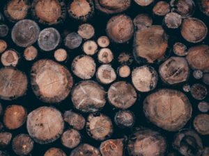 Using WordPress Logs To Understand Activity On Your Site