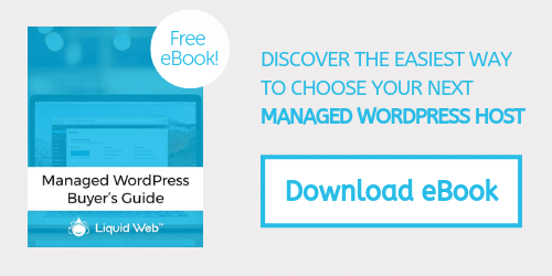 eBook - WordPress Hosting Buyer's Guide