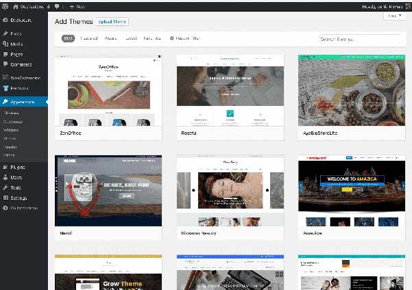 Browse free and paid themes for your new WordPress site