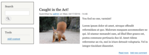Drupal 8 post with squirrel picture