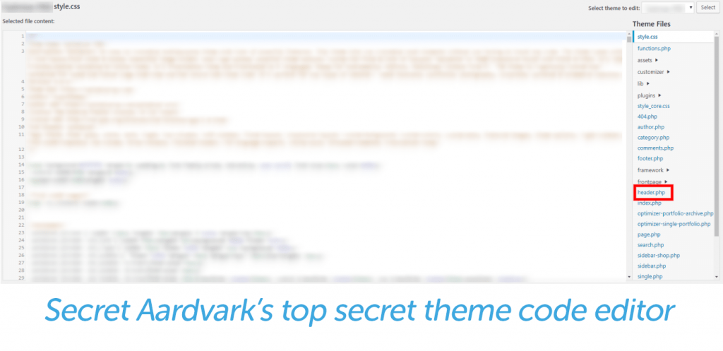 secret aardvark theme code editor