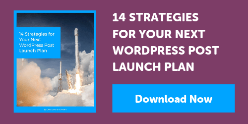 14 Strategies for Your Next WordPress Post Launch Plan - eBook Download