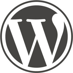 Top 3 WordPress Caching Plugins