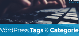 What is a Tag in WordPress? How to Use Tags in WordPress
