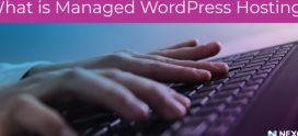What Is Managed WordPress Hosting? [Explanation + Overview]